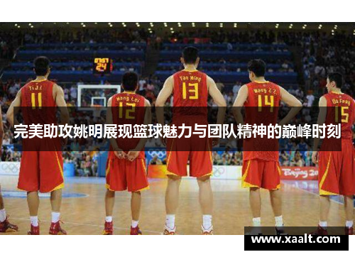 完美助攻姚明展现篮球魅力与团队精神的巅峰时刻